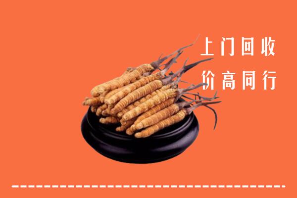高价求购：象州县回收散虫草