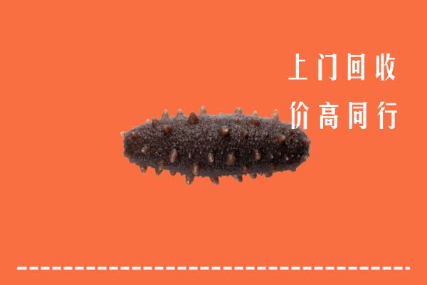 高价求购：象州县回收海参